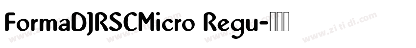 FormaDJRSCMicro Regu字体转换